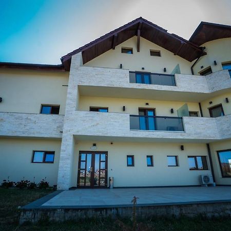 Pensiunea Palace Băile Felix المظهر الخارجي الصورة